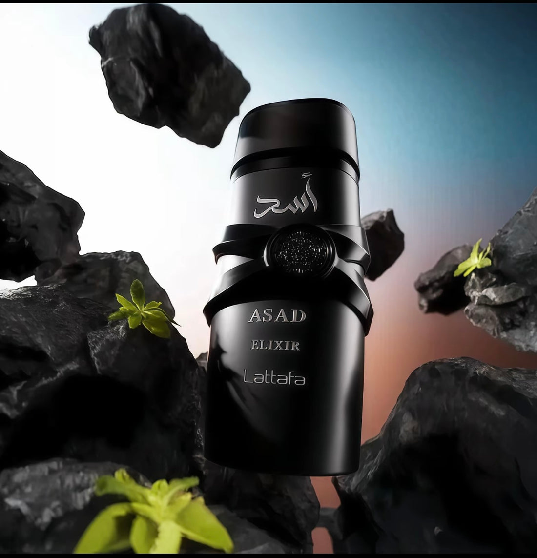 Lattafa Asad Elixir 100 ml EDP